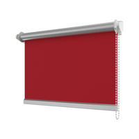 SEITENZUGROLLO / THERMOROLLO SZ3 75,5x175 cm, Rot (3011) Verdunkelung - Rot, Textil (75.5/175/6cm) - INTERDECO