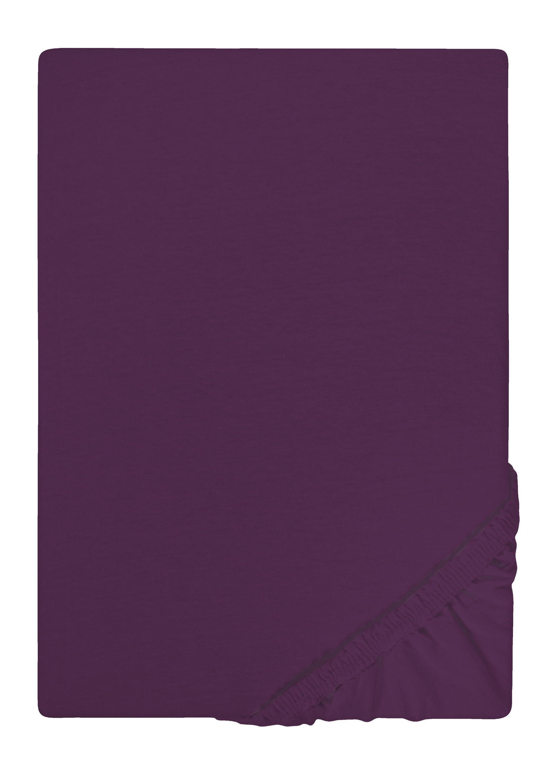 biberna Spannbetttuch Violett 160x200 cm