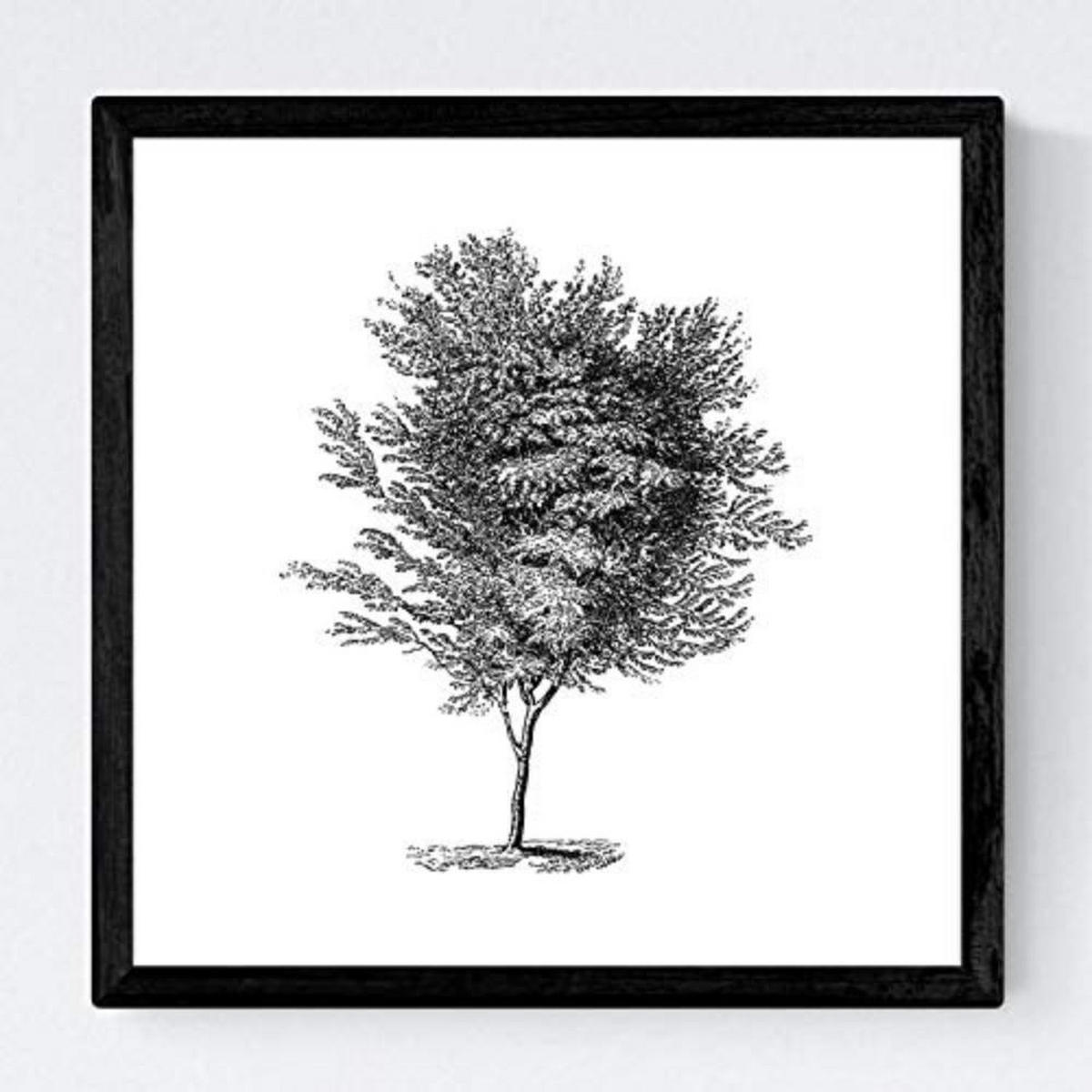 POSTER Set mit 4 Blättern der Grove weiß 20x20cm Schwarzer Rahmen - Schwarz, Papier (20/3cm) - Nacnic