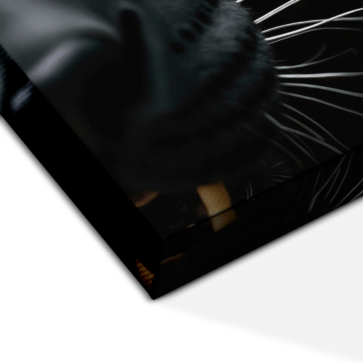 LEINWANDBILD Panther 3-tlg. 120x80 cm - Multicolor, Holz (120/80cm) - LUMASOUL