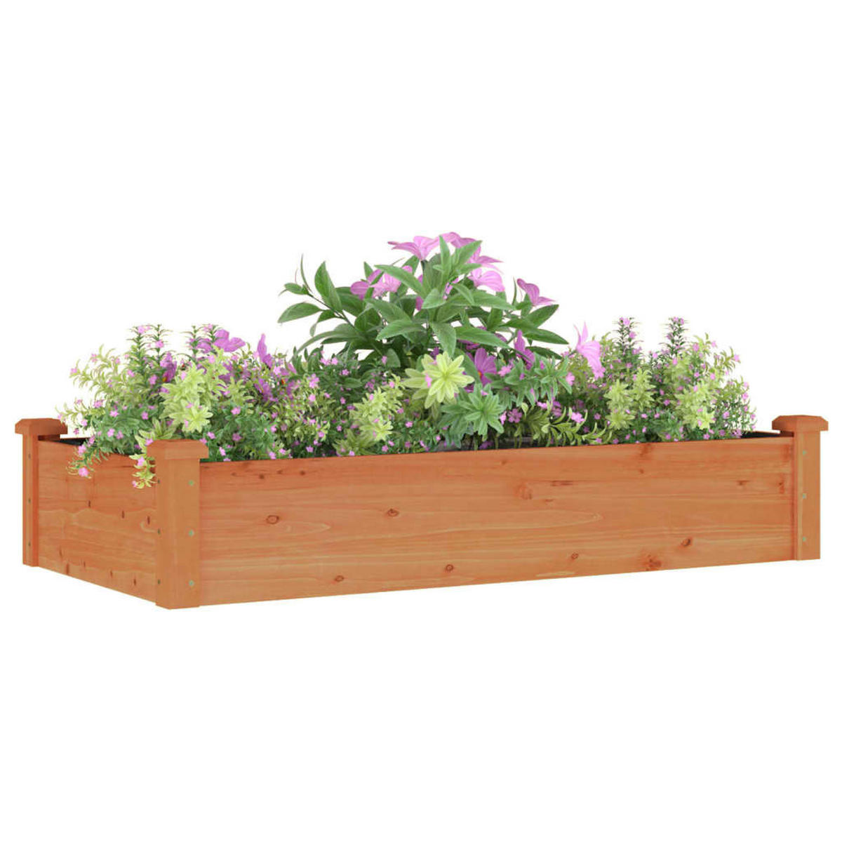 HOCHBEET mit Einsatz Braun 120x60x25 cm Massivholz Tanne - Braun, Holz (120/25/60cm)