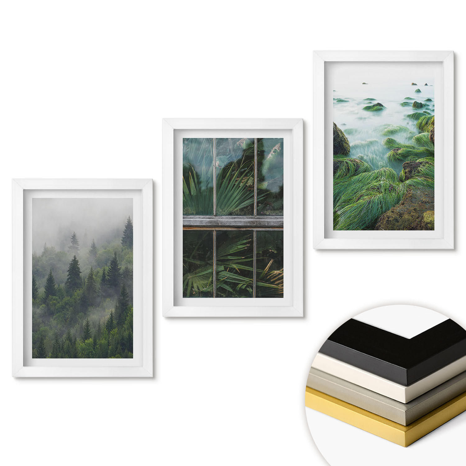 WANDBILDER 3er-Set - 20x30 cm Weißer Rahmen - Waldnebel, Flussufer, Gewächshaus - Weiß, Kunststoff (20/30cm) - ArtPrintCave