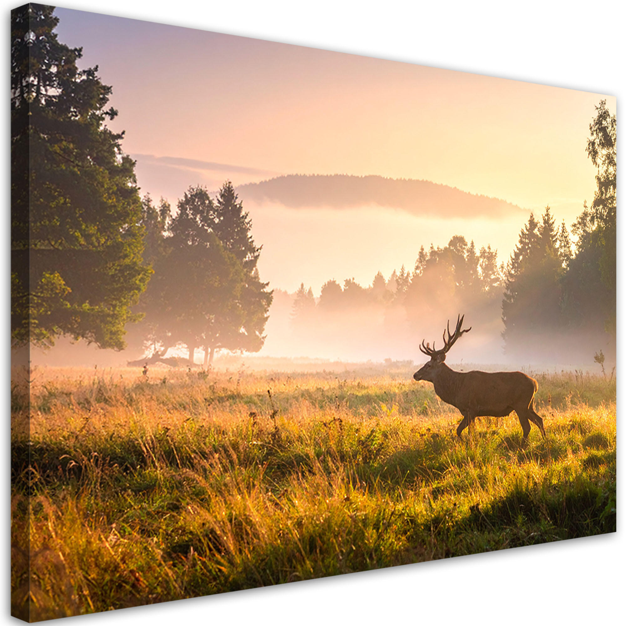 LEINWANDBILD Landschaft Hirsch im Brunftgebiet im Nebel 120x80cm - Beige, Textil (120/80cm) - Feeby