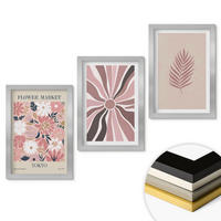 WANDBILDER 3er Set - 20x30 cm Silberner Rahmen - Florale Blattmuster und Geometrie - Silberfarben, Kunststoff (20/30cm) - ArtPrintCave