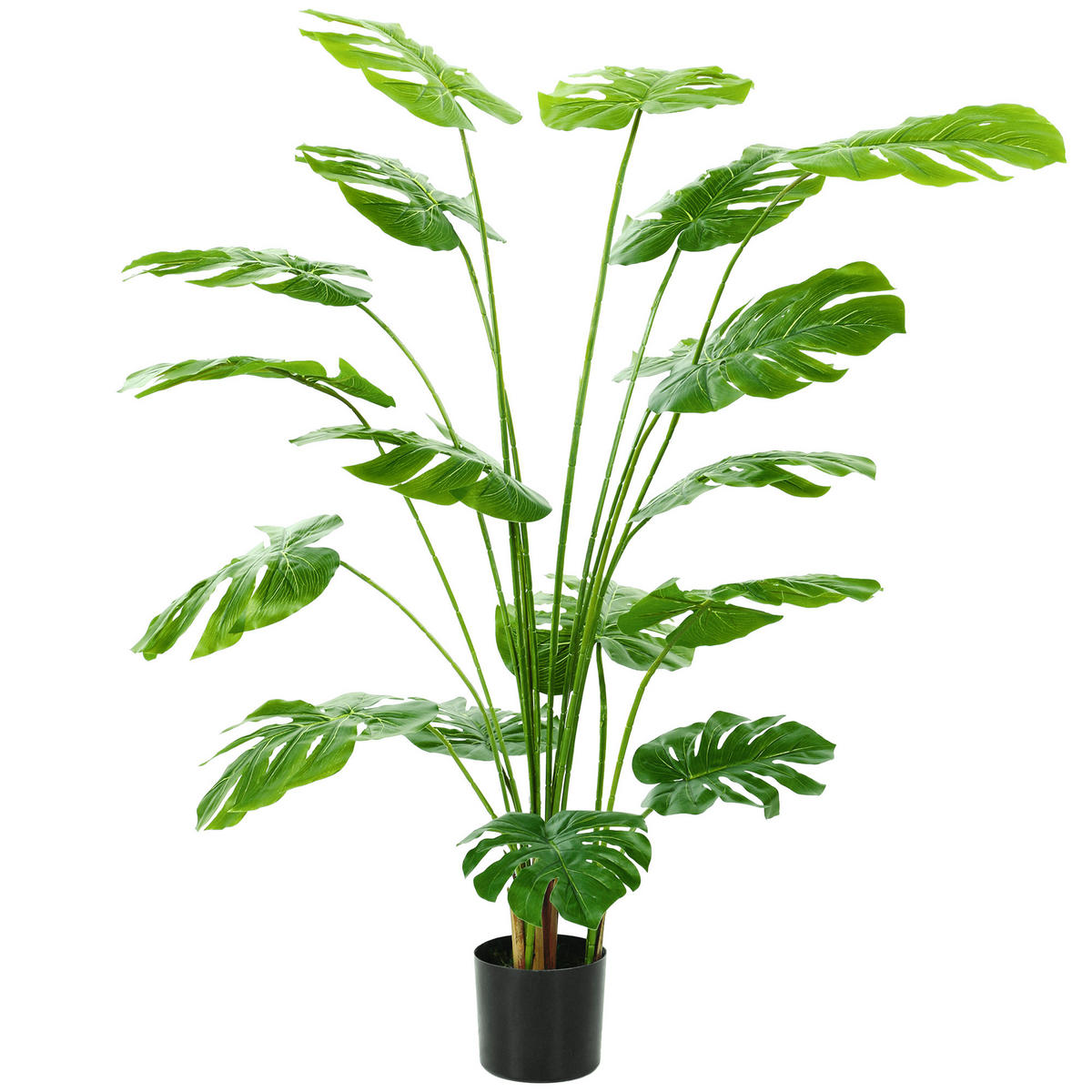 KUNSTPFLANZE DE-16649 150 cm, Monstera deliciosa Grün - Grün, Kunststoff (150cm) - ComfortXL