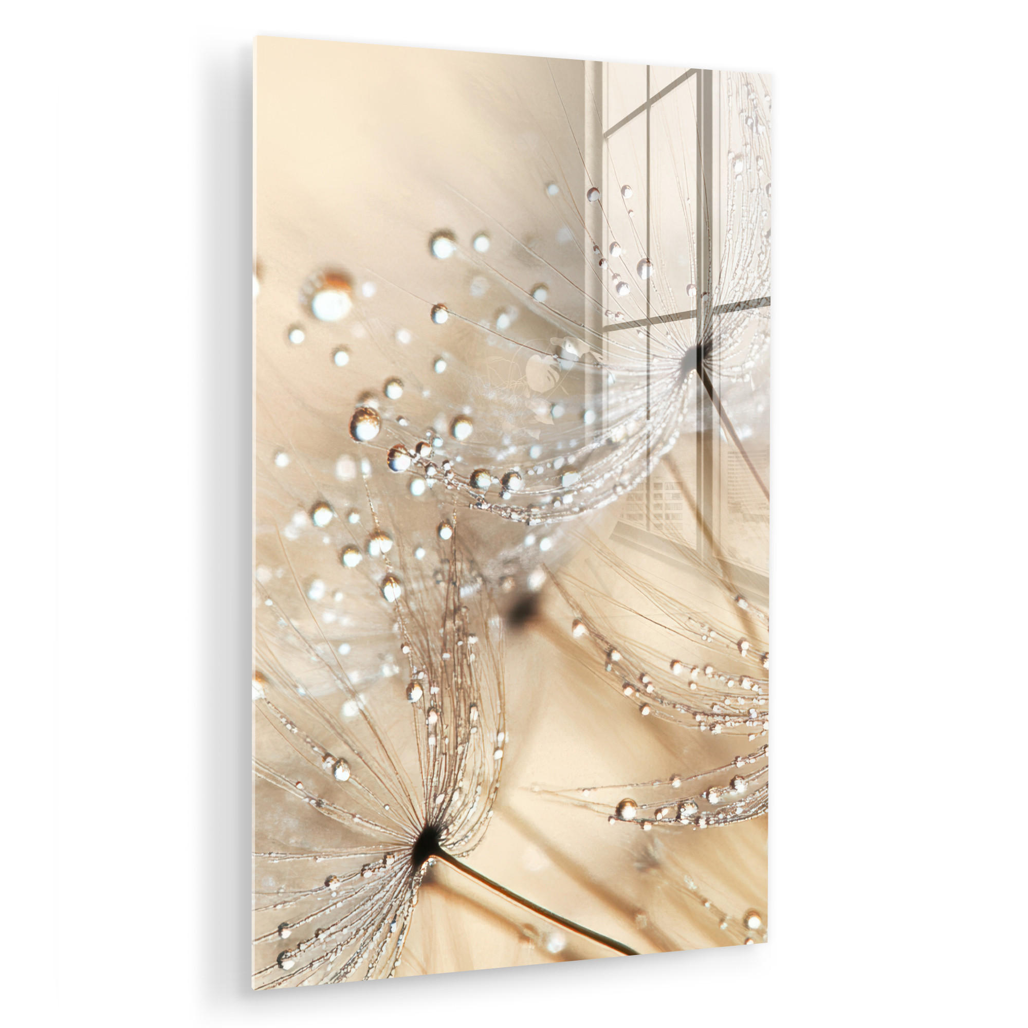 ACRYLGLASBILD Löwenzahn - Abstrakt - Natur - Beige 40x60 cm - Braun, Glas (40/60cm) - MuchoWow