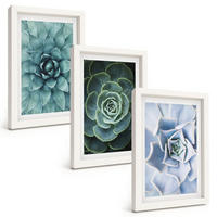 BILDER SET 3er Set - 20x30 cm Weißer Rahmen - Sukkulente Pflanzen grün türkis - Weiß, Kunststoff (20/30cm) - TULUP