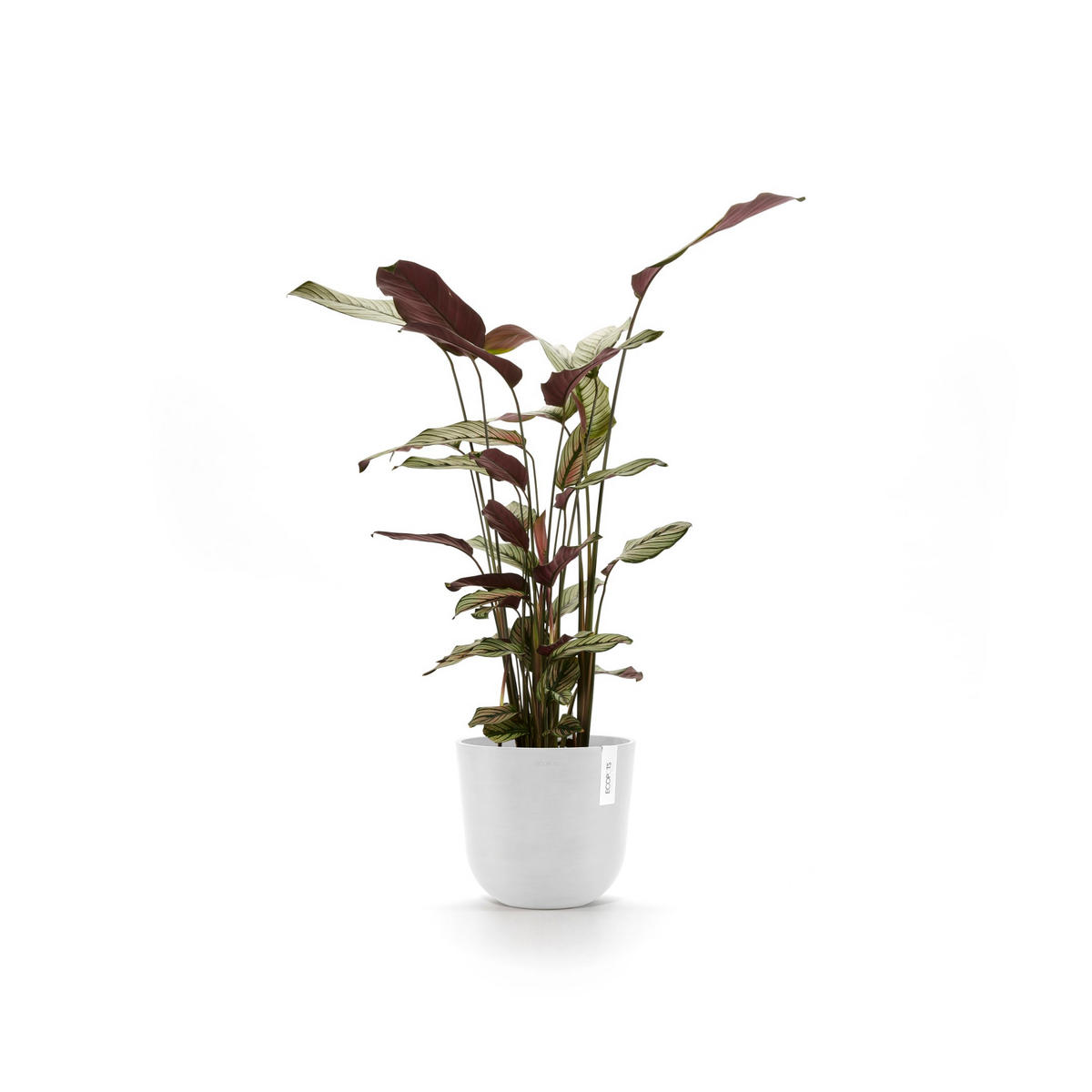 BLUMENTOPF mit Wasserreservoir Oslo 25/21,4 cm Weiß - Weiß, Kunststoff (25/21.4cm) - Ecopots