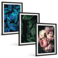 BILDER SET 3er Set - 40x60 cm Schwarzer Rahmen - Blätter, Blüten, verschiedene Farben - Schwarz, Kunststoff (40/60cm) - TULUP