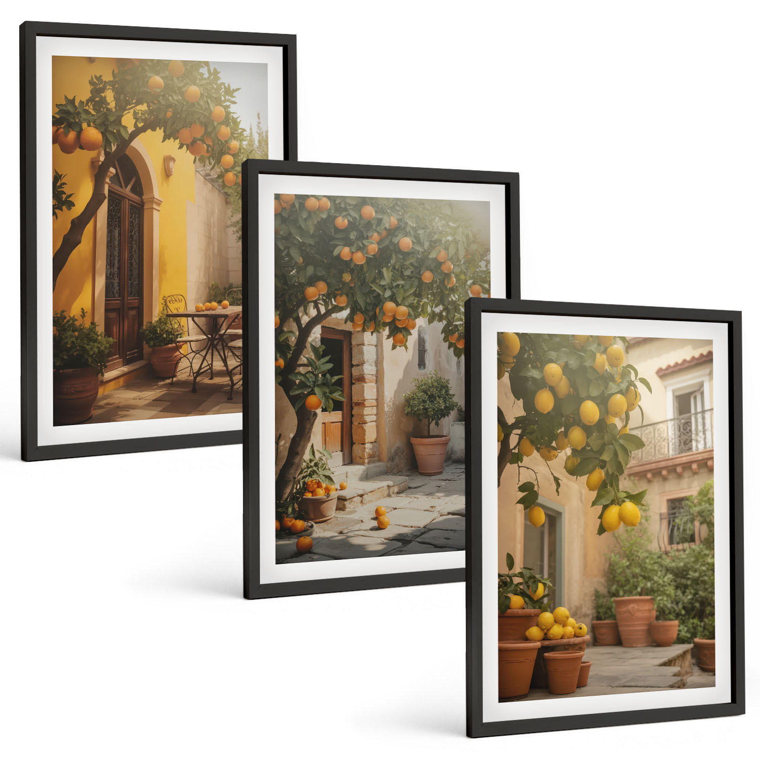 BILDER SET 3er Set - 40x60 cm Schwarzer Rahmen - Zitrustöpfe für sonnige Terrassen - Schwarz, Kunststoff (40/60cm) - TULUP