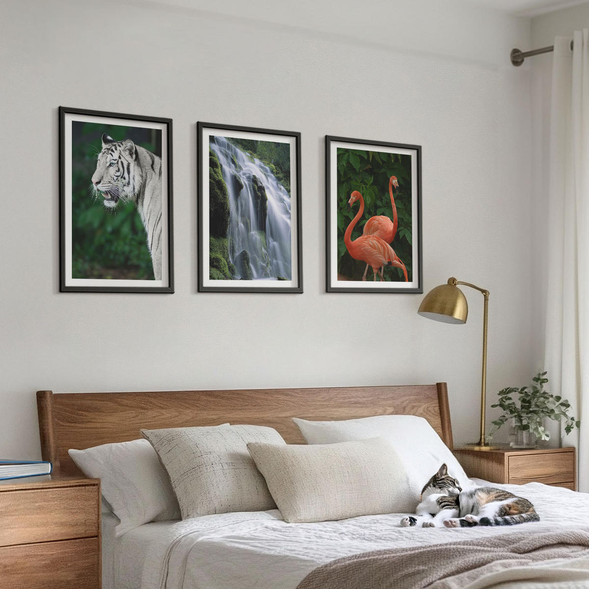 BILDER SET 3er Set - 40x60 cm Schwarzer Rahmen - Tiger Wasserfall Flamingos Natur - Schwarz, Kunststoff (40/60cm) - TULUP