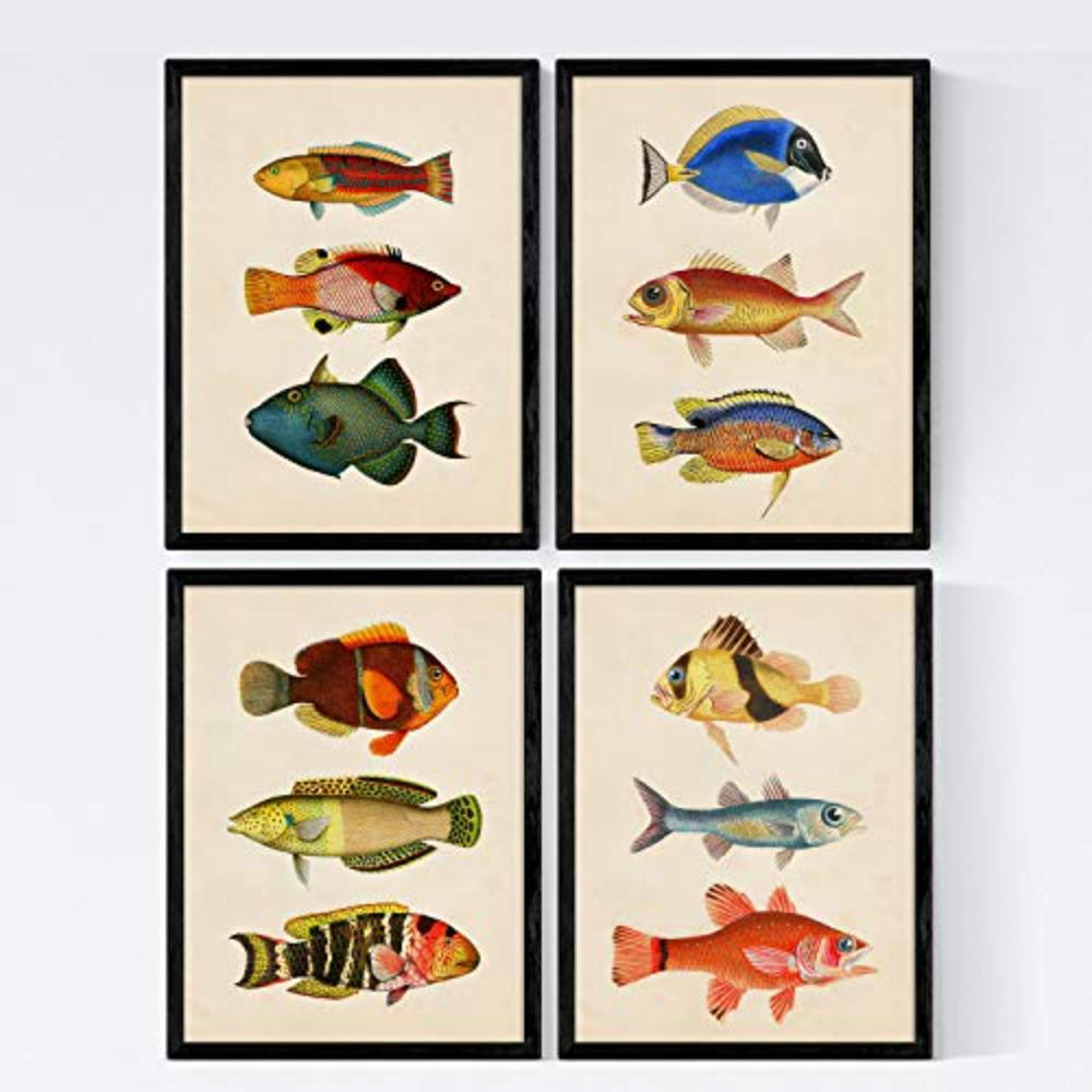 Nacnic Poster Klar 29.7x3 cm