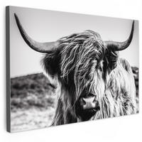 SLIKA NA PLATNU Krava 150x100 cm - crna, tekstil (150/100cm) - MuchoWow