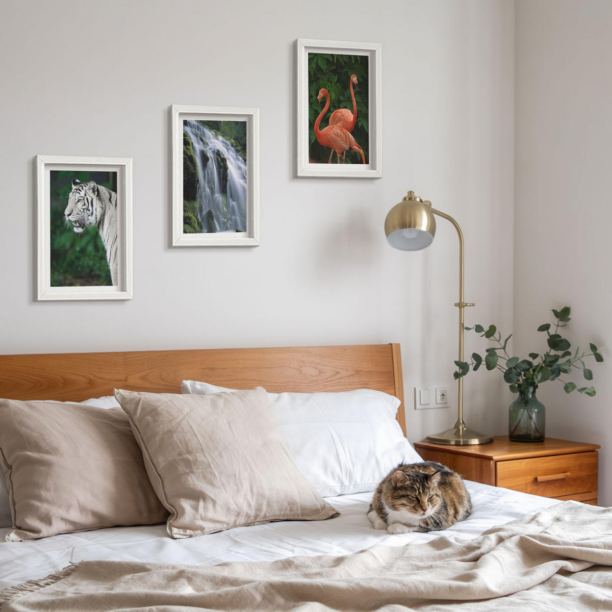 WANDBILDER 3er-Set - 20x30 cm Weißer Rahmen - Tiger Wasserfall Flamingos Natur - Weiß, Kunststoff (20/30cm) - ArtPrintCave