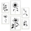 POSTER Set Mit 6 Strahlende Blume Größe A3 & A4 Weißer Rahmen - Weiß, Papier (29.7/1cm) - Nacnic
