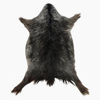 FELL Ziegenfell Graulich Naturfarben Teppich ca. 90 cm 1.Wahl - Dunkelgrau/Grau, Fell (50/90cm) - Provellus