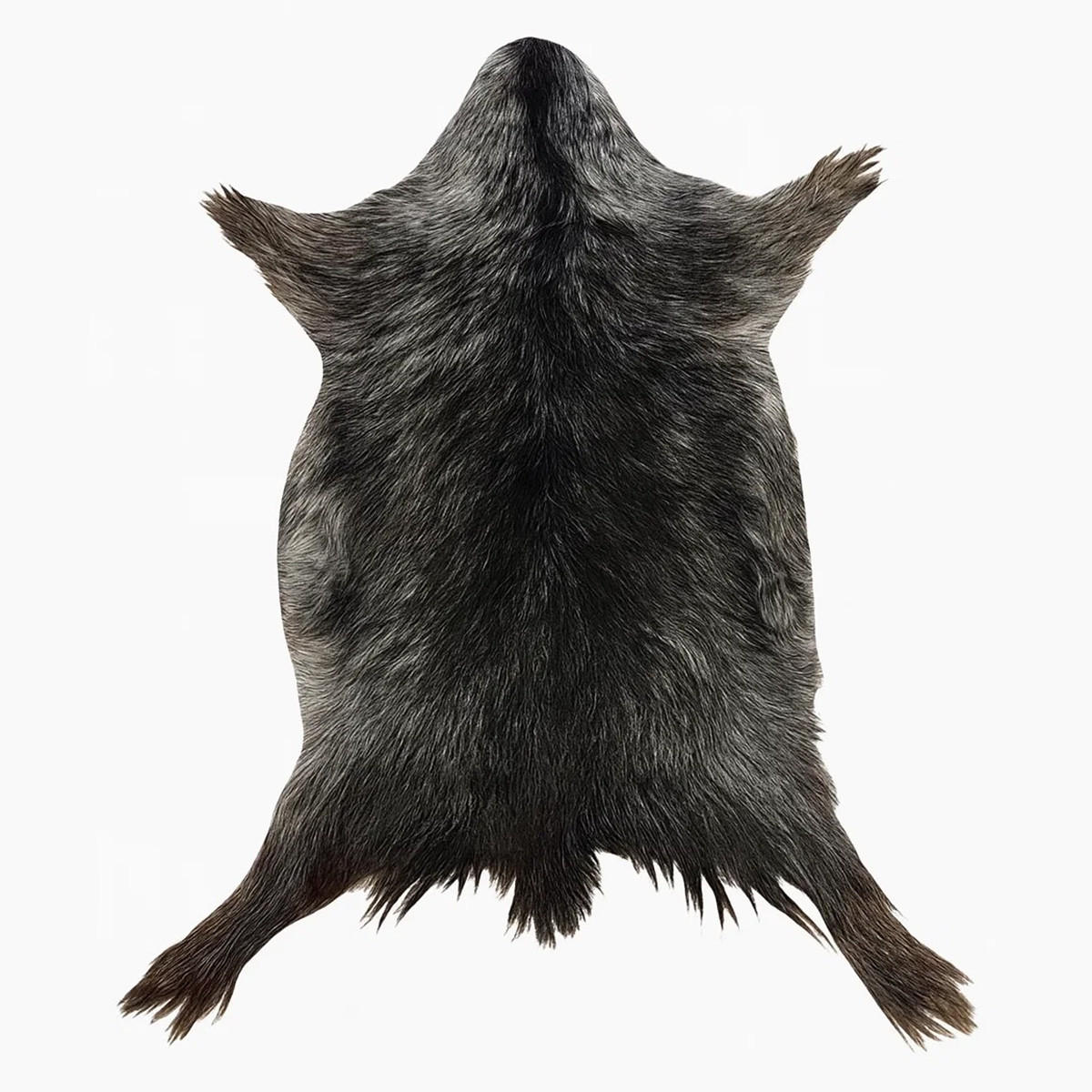 FELL Ziegenfell Graulich Naturfarben Teppich ca. 90 cm 1.Wahl - Dunkelgrau/Grau, Fell (50/90cm) - Provellus