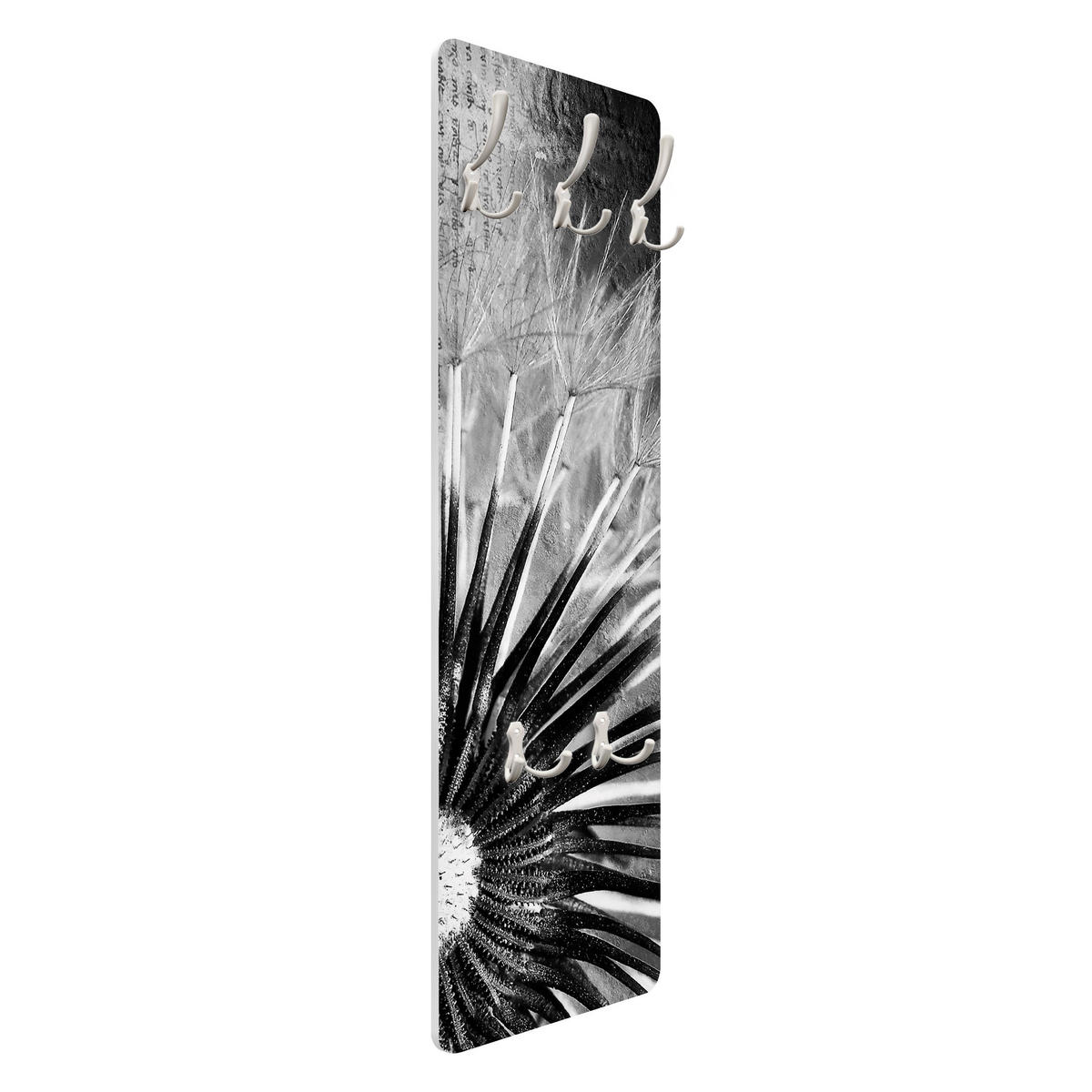 WANDGARDEROBE - Pusteblume Schwarz, Weiß 34/105 cm - Schwarz, Holzwerkstoff (34/105/1.6cm) - Bilderwelten