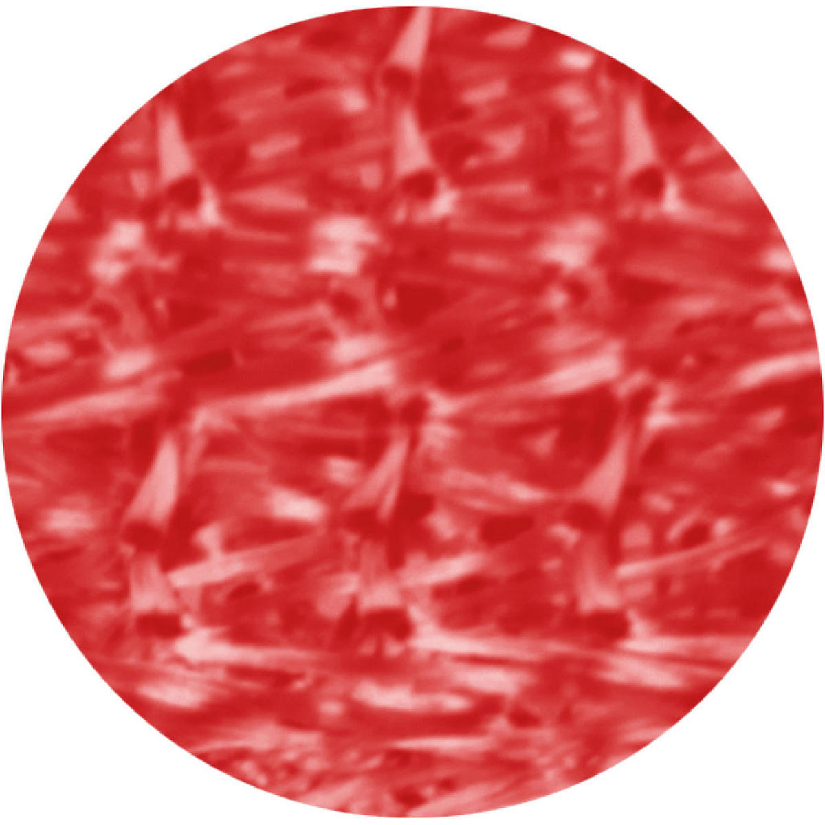 FADENVORHANG 90 cm x 240 cm Fadengardine (Rosa) Ideal als Insektenschutz oder Raumteiler - Rot, Textil (90/240cm) - Bestlivings
