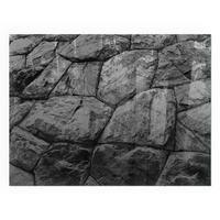 GLASPLATTE für Kamin 80x60 cm - Grau, Glas (80/60/0.4cm) - TULUP