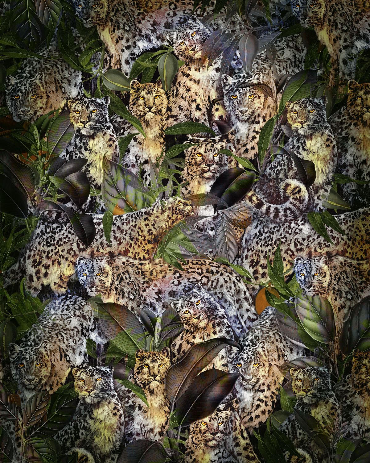 FOTOTAPETE Leopard 200 x 250 cm - Grün, Papier (200/250cm) - Sanders & Sanders