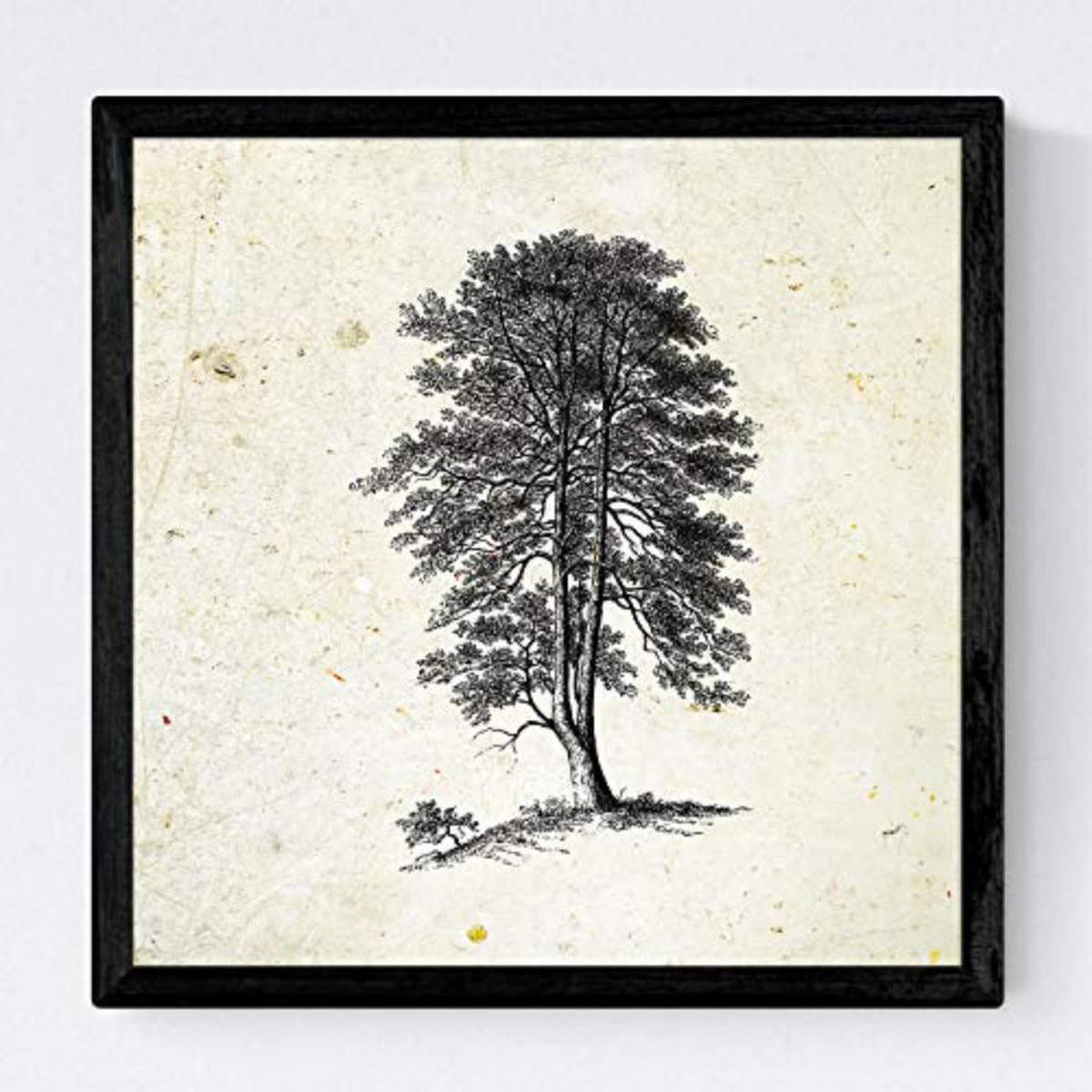 POSTER Set mit 4 Blättern der Jahrgang Hintergrund Altpapier 30x30 cm Rahmenlos - Klar, Papier (30/3cm) - Nacnic