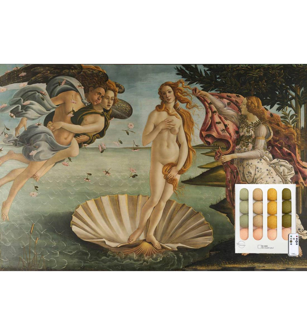 LICHTERKETTE LED Boxen - Venus - Linde - Hellgrün, Textil (165cm) - La case du cousin paul