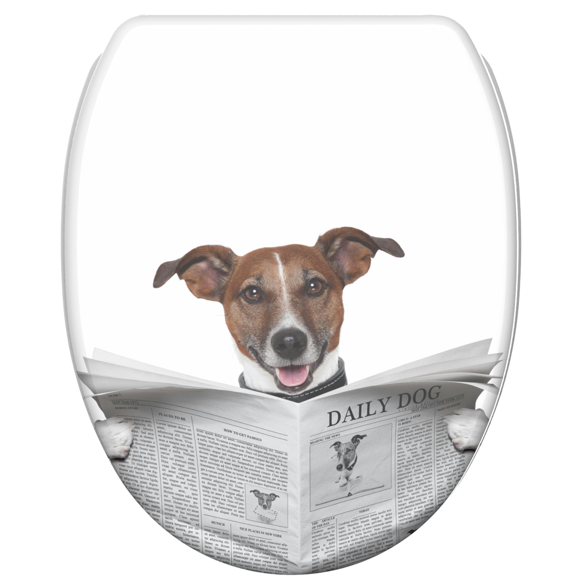 WC-SITZ mit Absenkautomatik & Top Fix Newspaper - Braun, Holzwerkstoff (37.7/5.5/48cm) - Sanilo