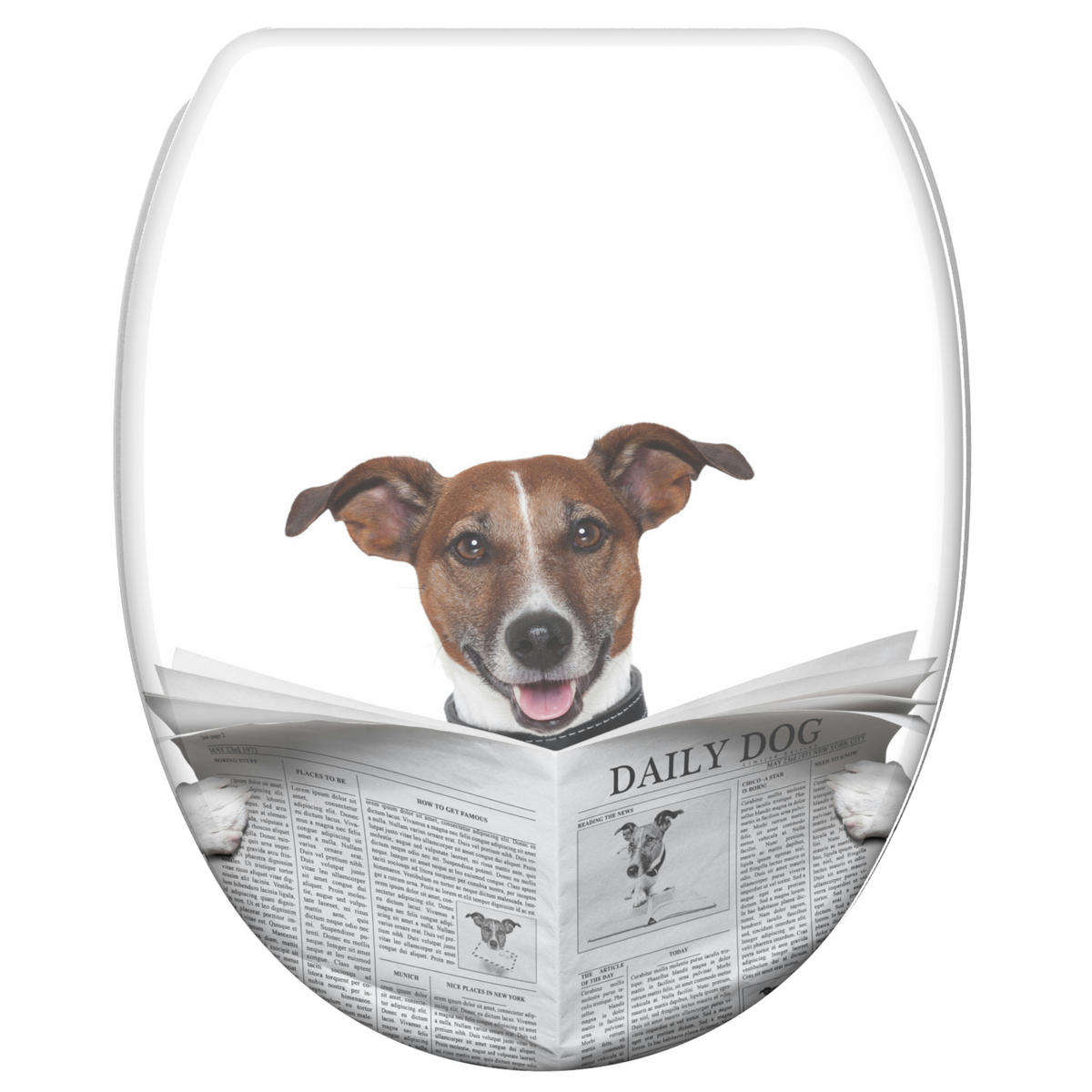 WC-SITZ mit Absenkautomatik & Top Fix Newspaper - Braun, Holzwerkstoff (37.7/5.5/48cm) - Sanilo