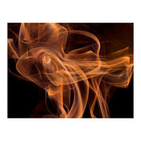 VLIESTAPETE 300/231 cm - Schwarz/Orange, Textil (300/1cm) - KUNSTLOFT