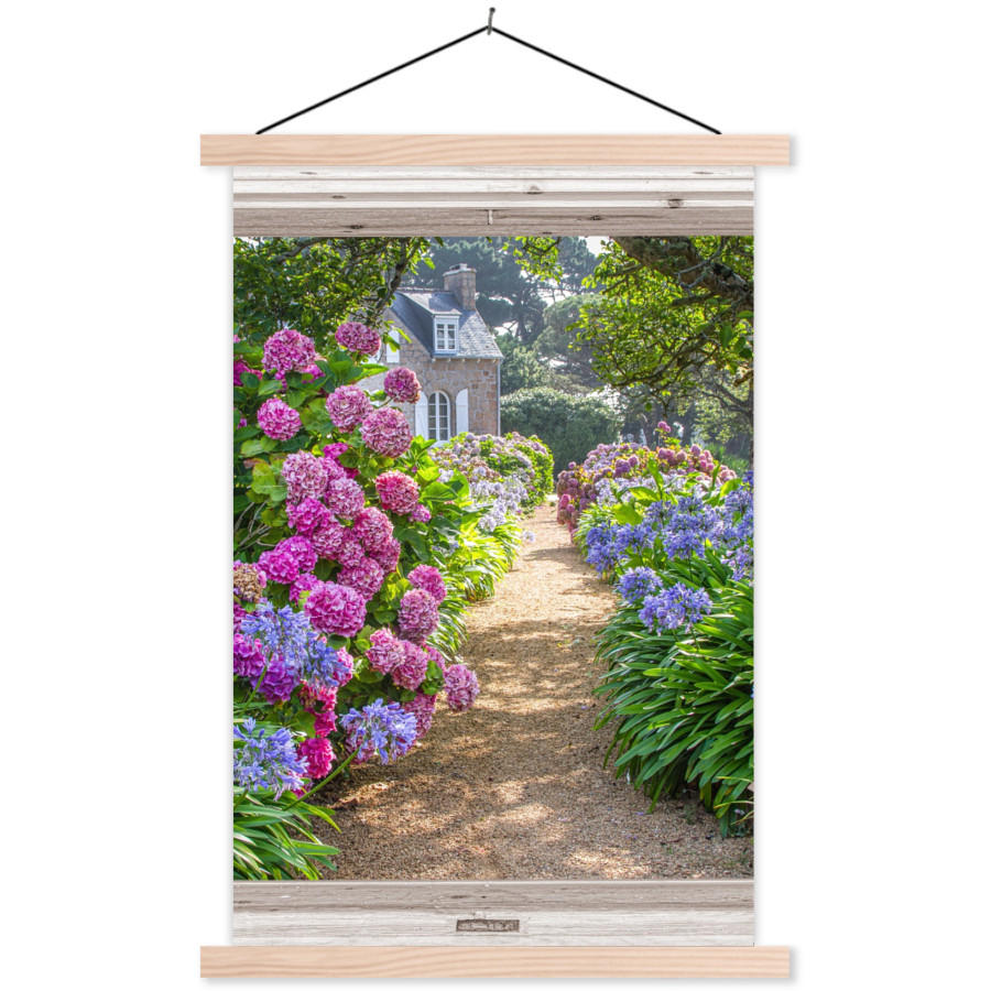 POSTER Hortensie - Ansicht - Blumen - Sommer - Lila - Weg 40x60 cm - Lila, Textil (40/60/0.15cm) - MuchoWow