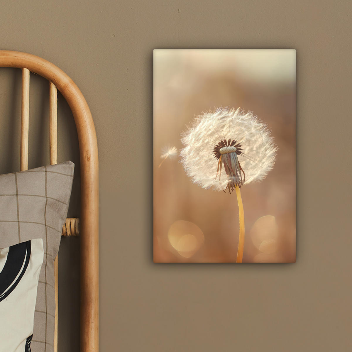 LEINWANDBILD Löwenzahn - Beige - Natur - Blume 20x30 cm - Hellbraun, Textil (20/30cm) - MuchoWow