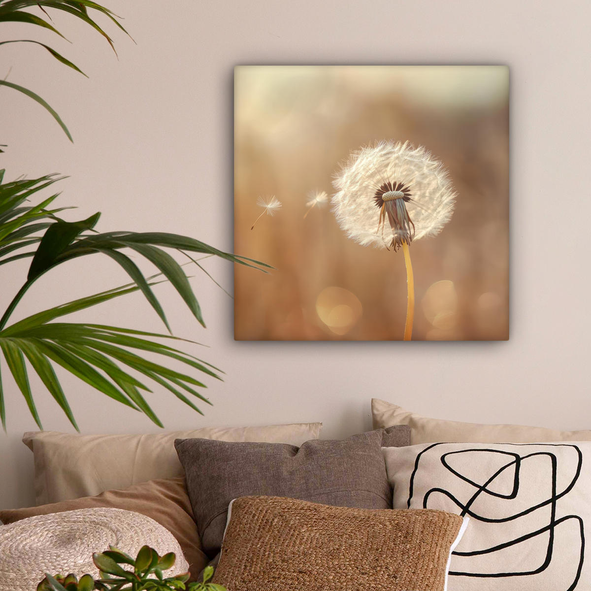 LEINWANDBILD Löwenzahn - Beige - Natur - Blume 50x50 cm - Hellbraun, Textil (50/50cm) - MuchoWow