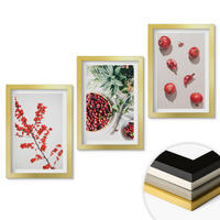 WANDBILDER 3er Set - 20x30 cm Goldrahmen - Minimalismus der roten Früchte von Pflanzen - Goldfarben, Kunststoff (20/30cm) - ArtPrintCave