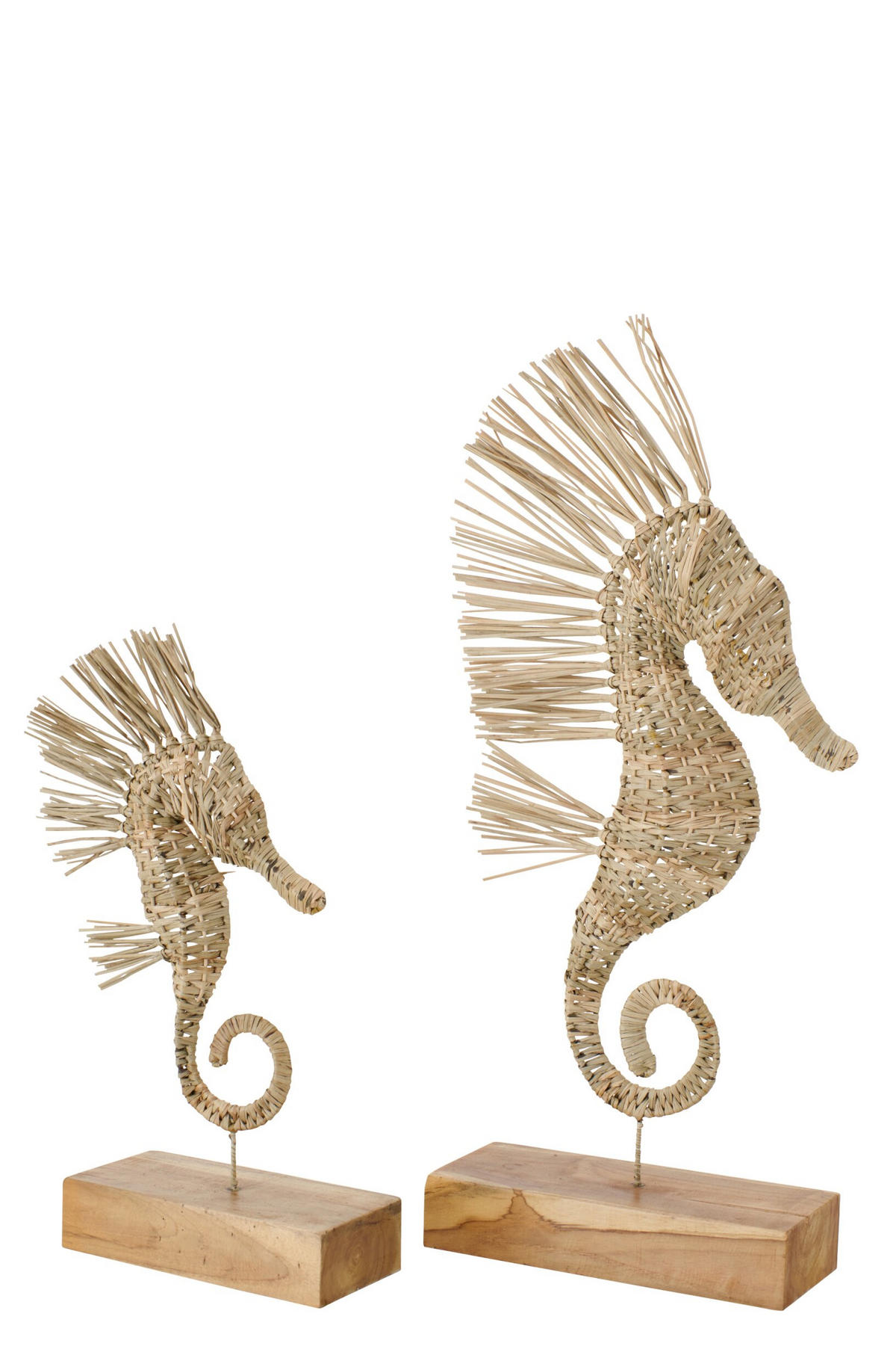 OBJEKT SEEPFERDCHEN - Naturfarben, Naturmaterialien (12/80/35cm) - J-Line