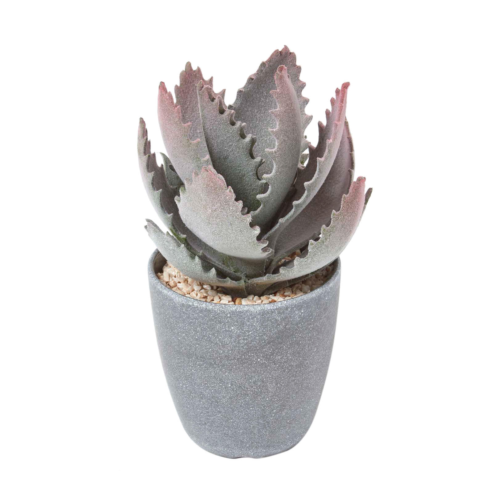 KUNSTPFLANZE Aloe vera im Deko-Topf, 21 cm - Grün, Kunststoff (21cm) - Homescapes