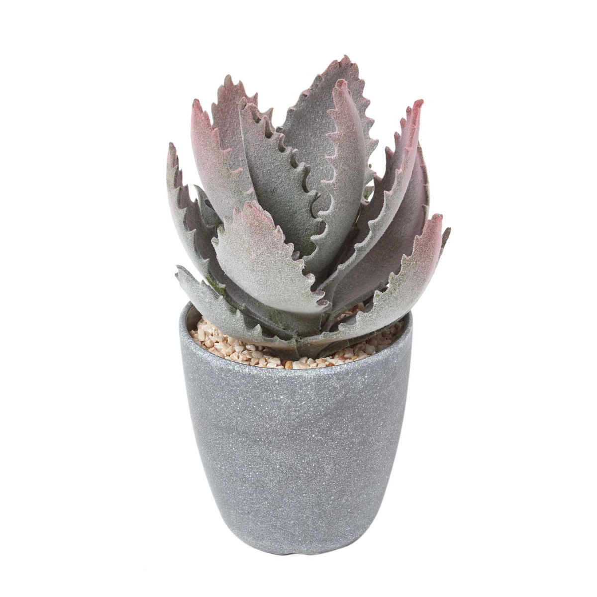 KUNSTPFLANZE Aloe vera im Deko-Topf, 21 cm - Grün, Kunststoff (21cm) - Homescapes