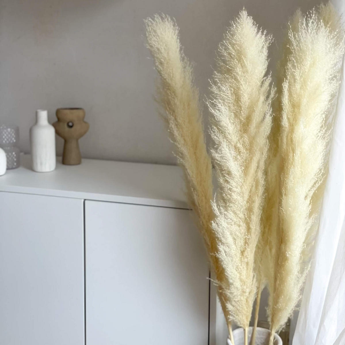 PAMPASGRAS gebleicht - weiß / 110 cm - Beige, Naturmaterialien (110cm) - Lykke & You