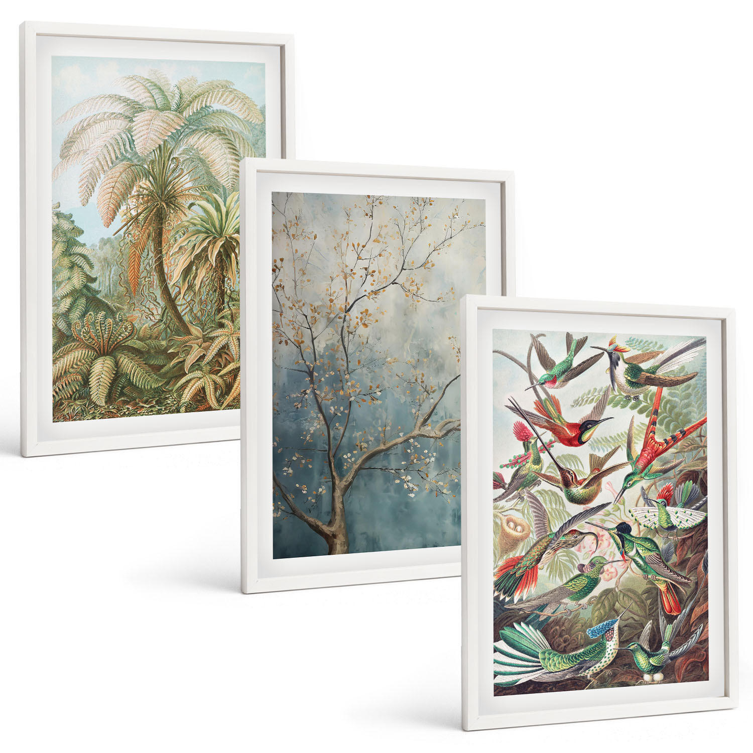 BILDER SET 3er Set - 40x60 cm Weißer Rahmen - Tropische Pflanzen, Vögel, Natur - Weiß, Kunststoff (40/60cm) - TULUP