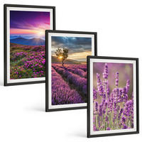 BILDER SET 3er Set - 40x60 cm Schwarzer Rahmen - Sonnenuntergang auf Lavendelfeldern - Schwarz, Kunststoff (40/60cm) - TULUP