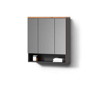 BADSPIEGELSCHRANK Tanaro Anthrazit 70 x 77.5 cm - Anthrazit, Holzwerkstoff (70/77.5/21.7cm) - Livinity®