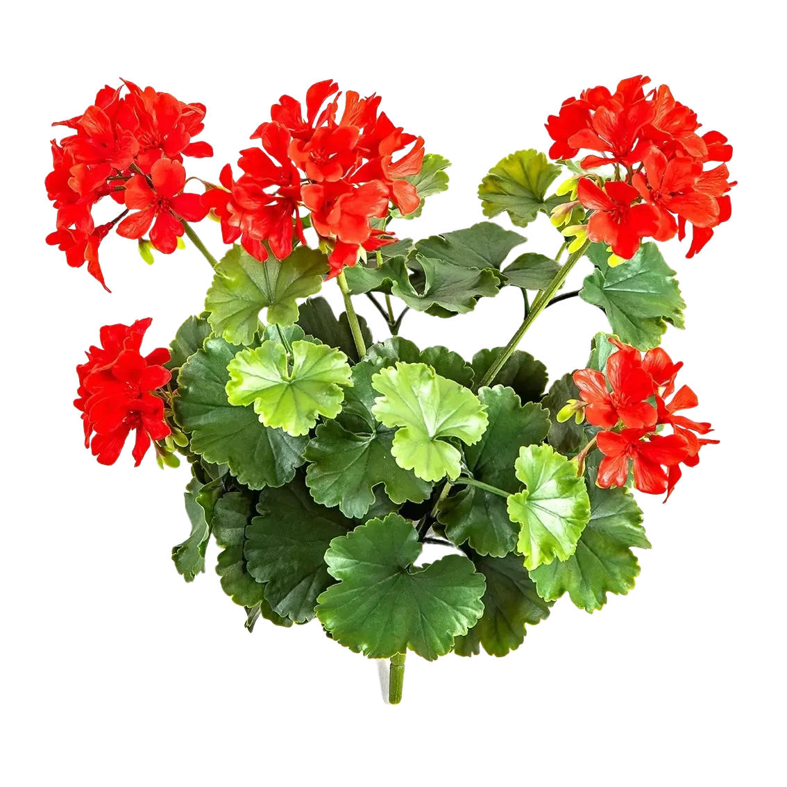 GERANIEN Künstliche Geranie - Zora 39 cm, Steckpflanze - Rot, Kunststoff (39cm) - aplanta