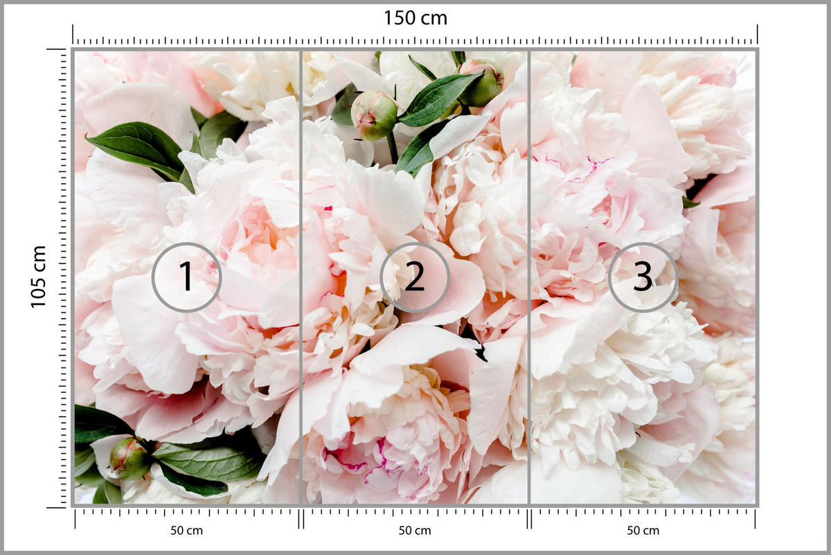 FOTOTAPETE für Schlafzimmer Rosa Zarte Pfingstrosen Natur 150x105 - Rosa/Weiß, Papier (150/105cm) - Muralo