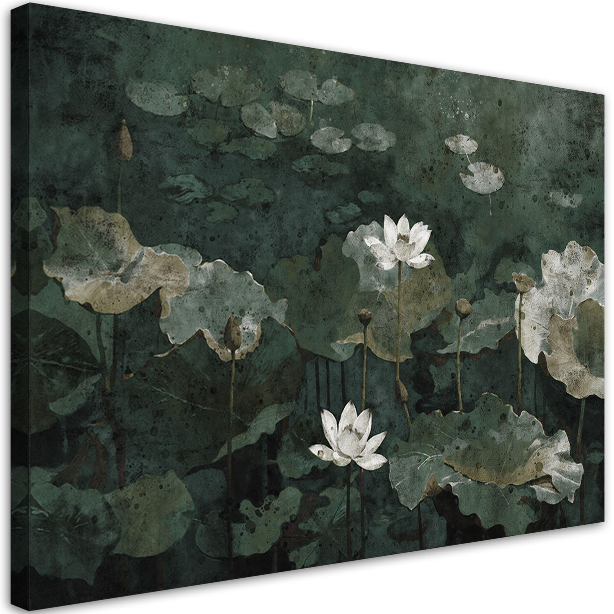 WANDBILD vintage seerosen - Grün, Textil (60/40cm) - Feeby