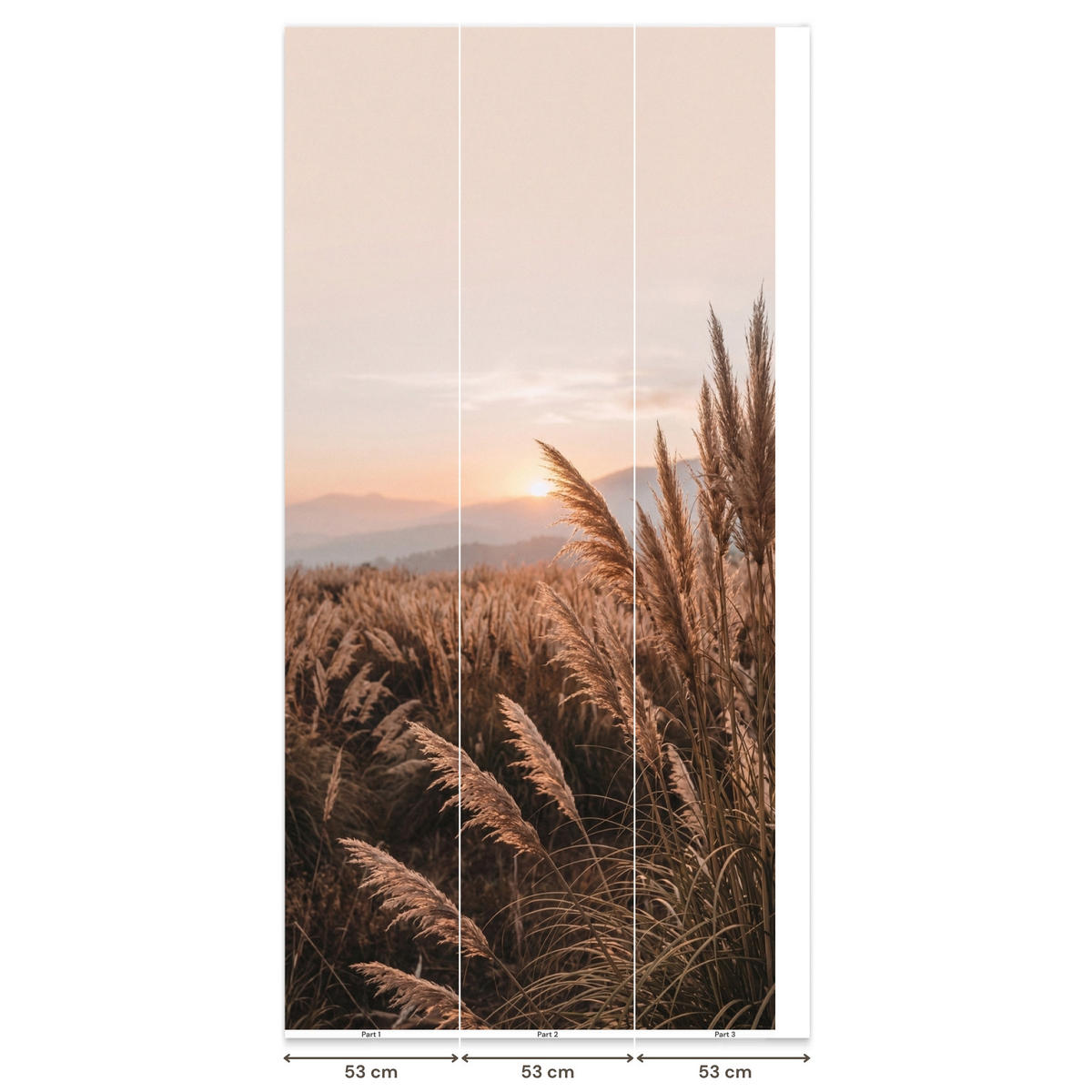 TAPETE - Gras - Feld - Sonne - Natur - 140x300 cm - Sandfarben, Papier (140/300cm) - OnlyWow