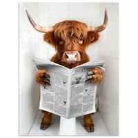 POSTER Schottisches Hochlandrind - Tier - Zeitung - Toilette 30x40 cm - Kastanienfarben, Papier (30/40/0.1cm) - MuchoWow