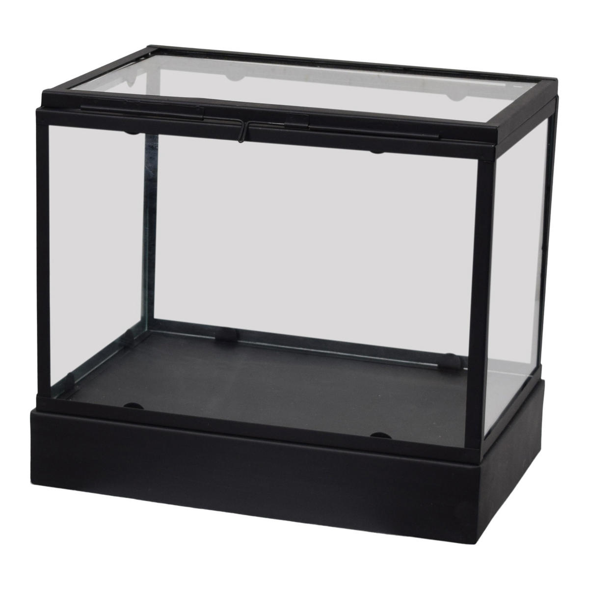 DISPLAYBOX Vitrine Schwarz - Schwarz, Metall (30/27/20cm) - LOFT42