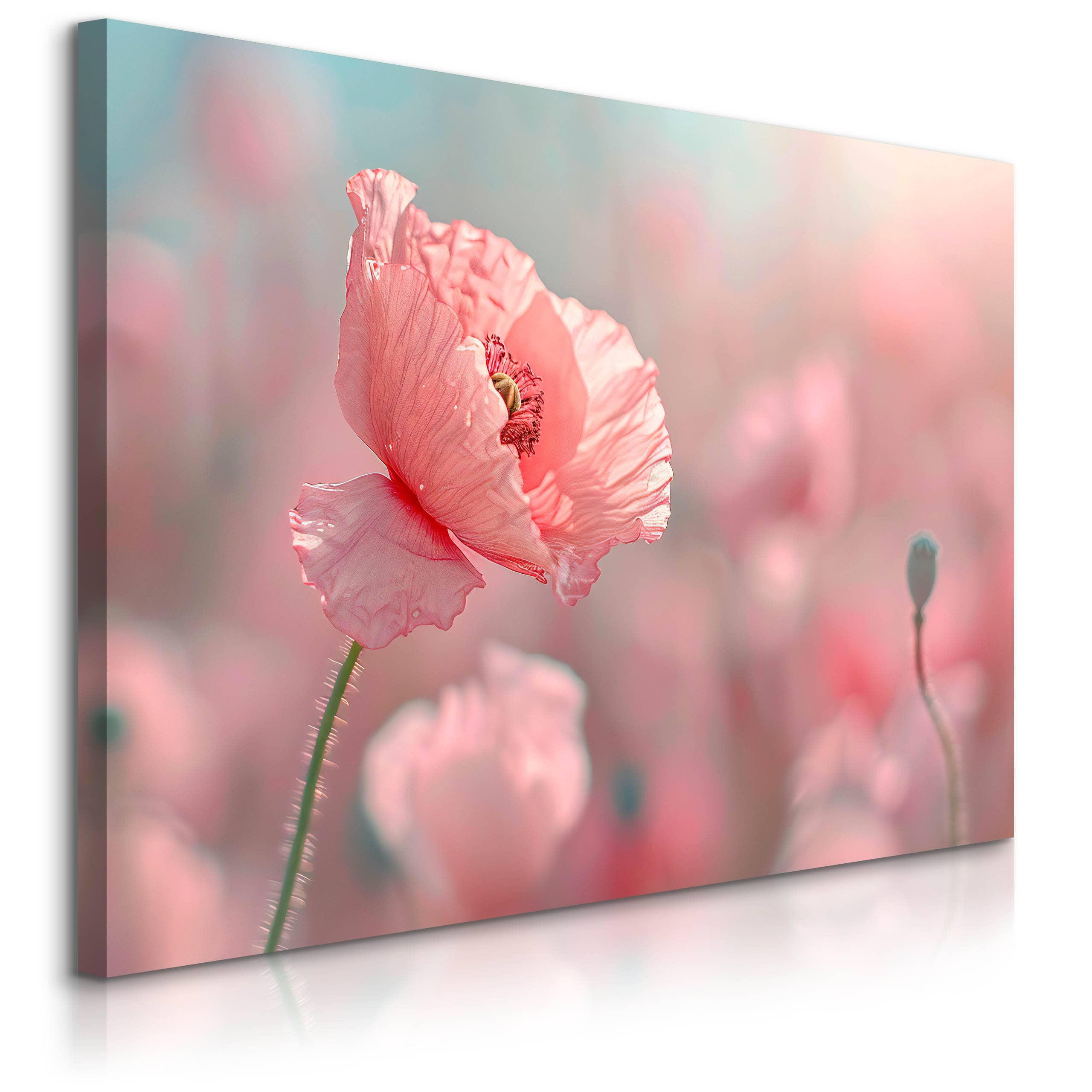 Muralo Leinwandbild Rosa 90x60 cm
