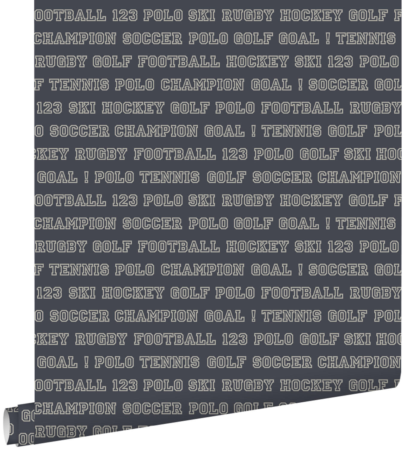 TAPETE Namen von verschienenen Sportarten 53 cm x 10.05 m - Blau, Papier (53/1000cm) - ESTAhome