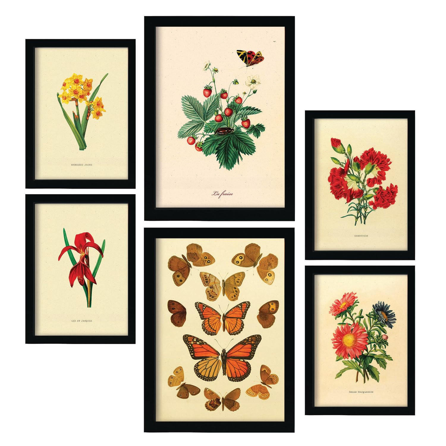 POSTER Set Mit 6 6Er Schmetterlinge A3 Rahmenlos - Klar, Papier (29.7/5/42cm) - Nacnic